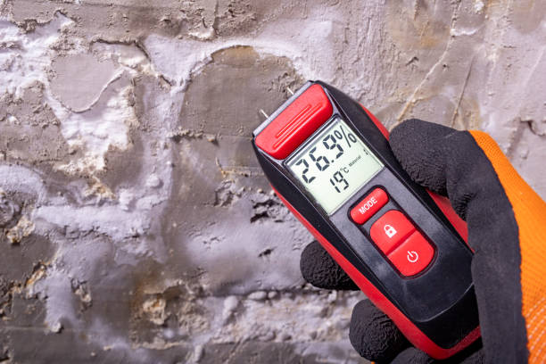 Best Post-Flood Mold Remediation in Tn Lakes, WI