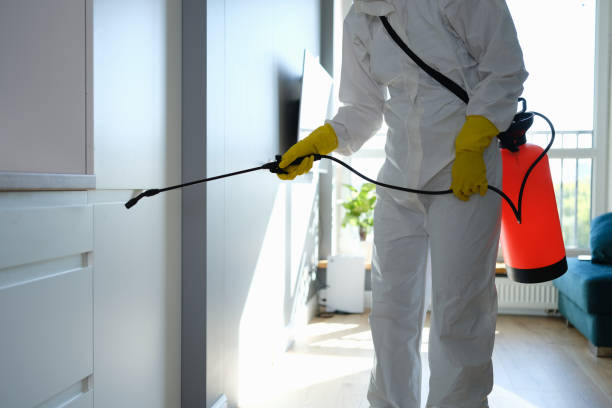 Best HVAC Mold Remediation in Tn Lakes, WI
