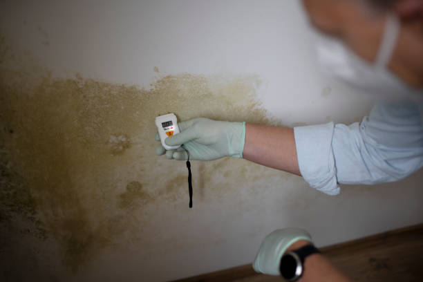 Twin Lakes, WI Mold Remediation Company