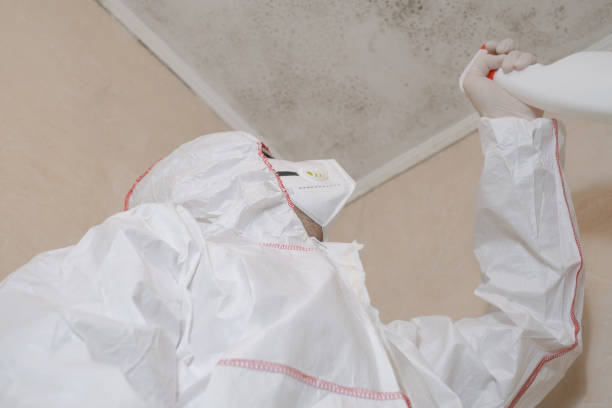 Best Emergency Mold Remediation in Tn Lakes, WI