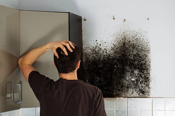 Best Emergency Mold Remediation in Tn Lakes, WI